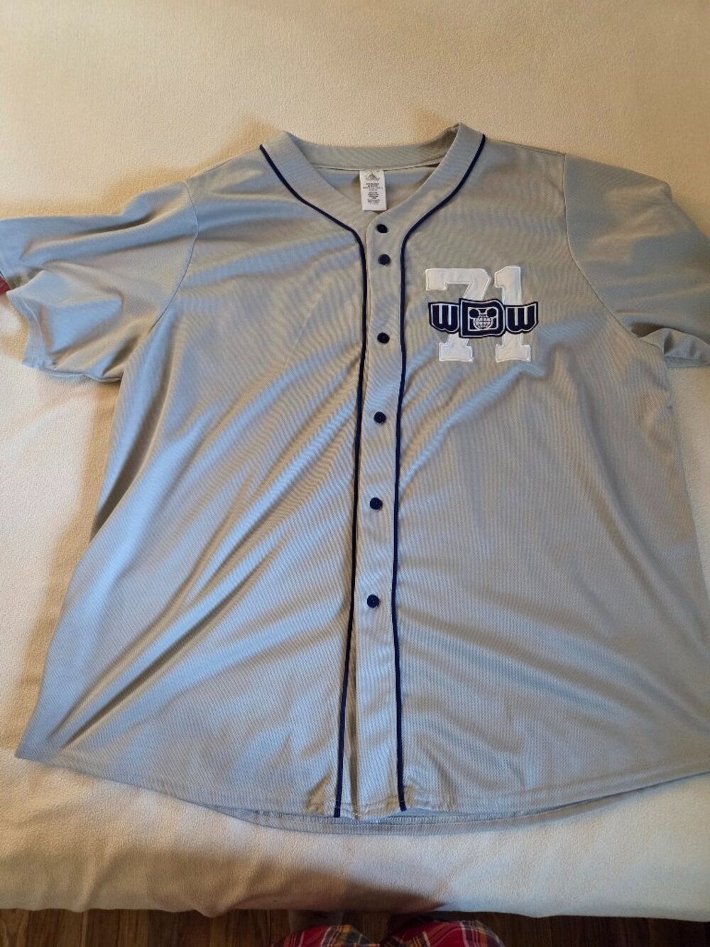 Walt Disney World baseball jersey